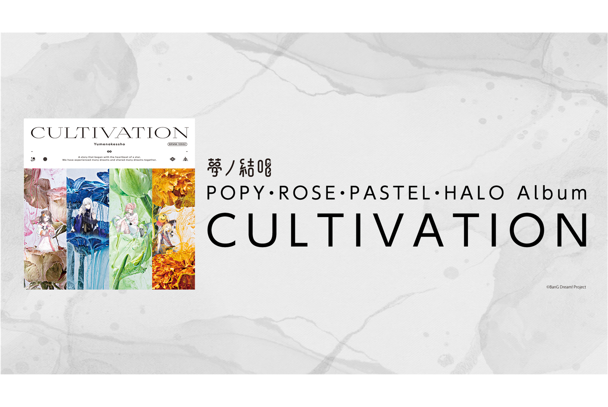 「夢ノ結唱」から、 アルバム「CULTIVATION」の発売が決定!